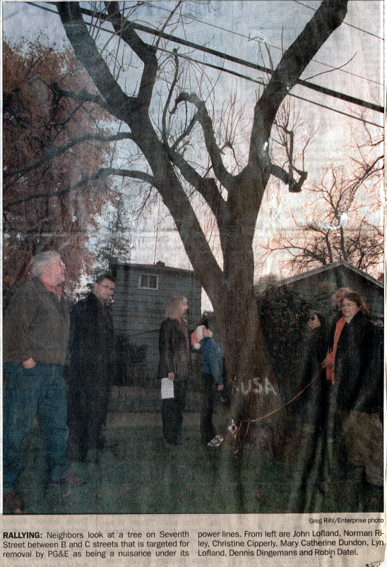 The Seventh Street Tree Cutting Stand-Off of 2000-01