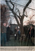The Seventh Street Tree Cutting Stand-Off of 2000-01